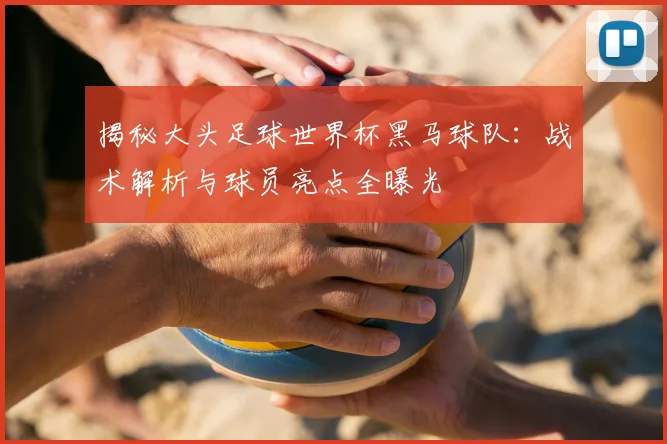 揭秘大头足球世界杯黑马球队：战术解析与球员亮点全曝光