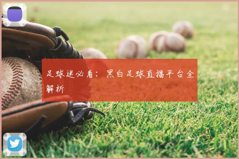 足球迷必看：黑白足球直播平台全解析