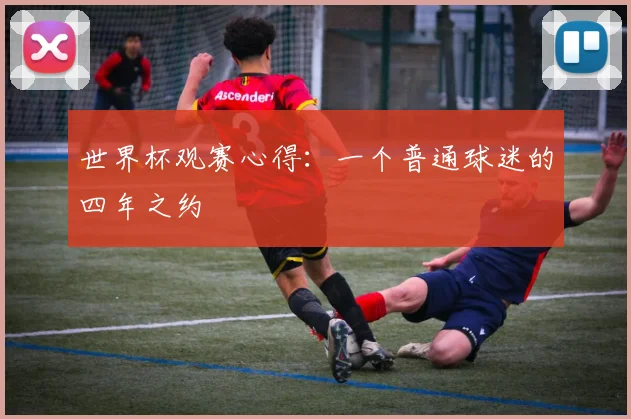 世界杯观赛心得：一个普通球迷的四年之约