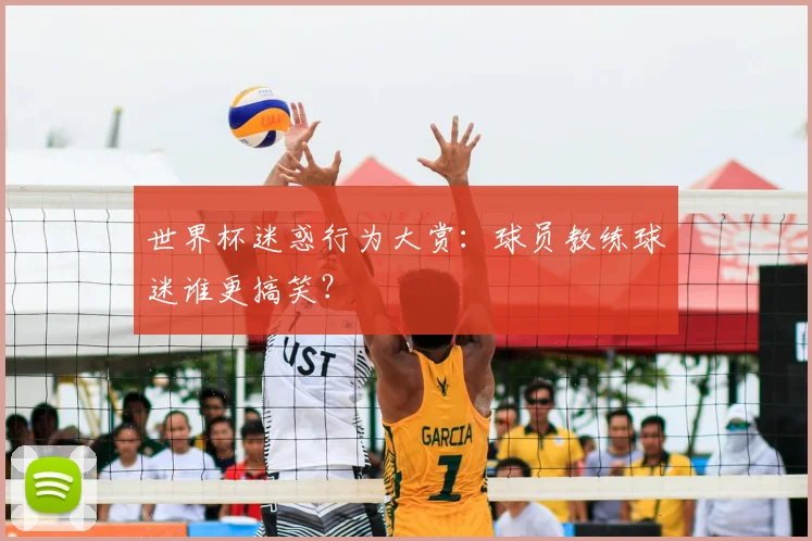 世界杯迷惑行为大赏:球员教练球迷谁更搞笑?