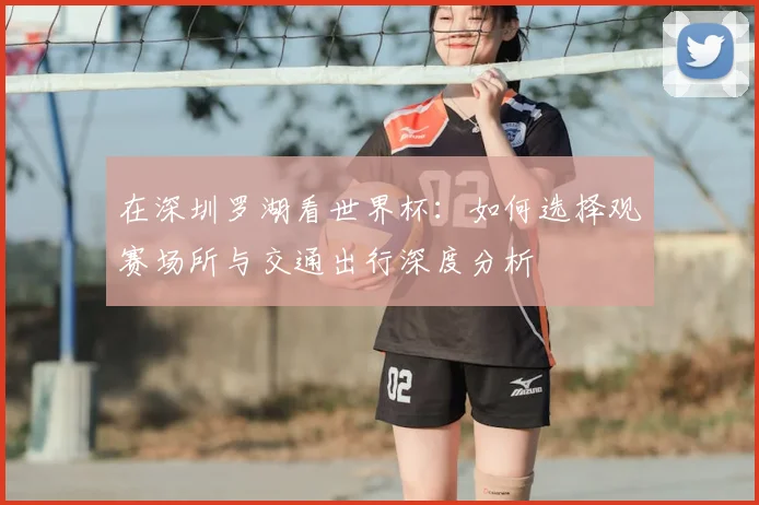 在深圳罗湖看世界杯：如何选择观赛场所与交通出行深度分析
